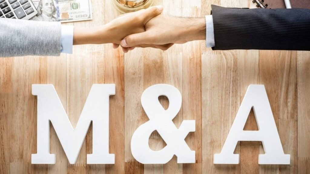 An Introduction to Mergers and Acquisitions